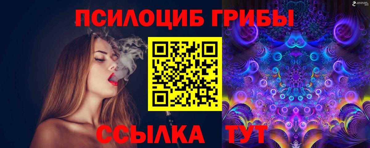 Галлюциногенные грибы GOLDEN TEACHER Будённовск