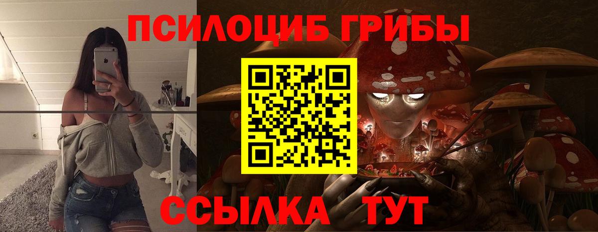 продажа наркотиков  Псилоцибиновые грибы Psilocybe  Вход с VPN  Будённовск 