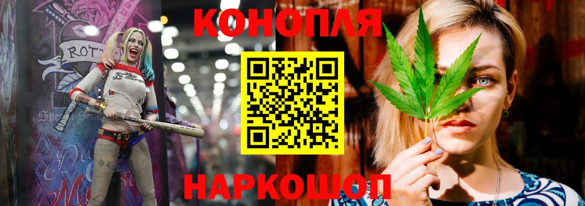 Конопля гибрид Будённовск